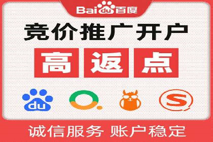 优化SEM竞价策略：成功案例剖析